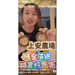 台灣最大有機乾香菇 台灣最大有機乾香菇